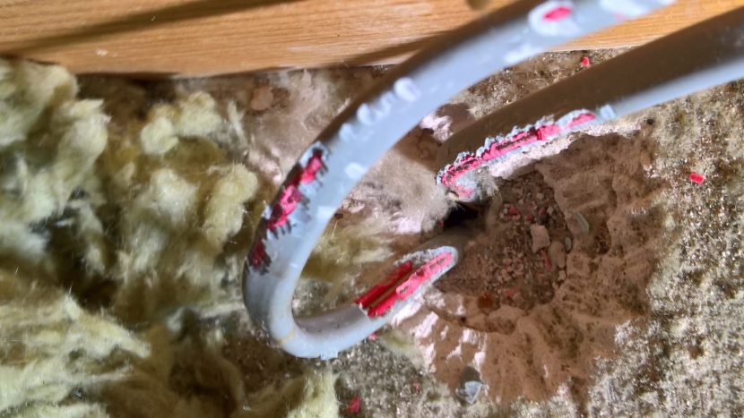 S B Electrical Rodent Damage